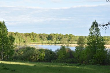 Ormanla çevrili küçük göl