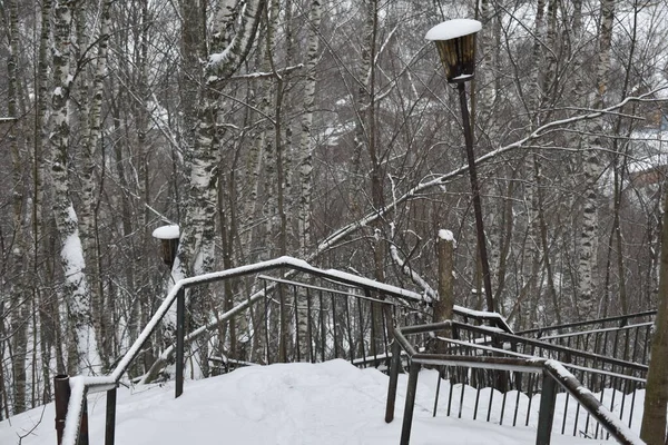 Длинные Лестницы Зимой Снегу — стоковое фото