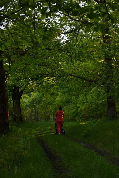 Mujer Cálido Atardecer Verde Bosque Verano — Foto de Stock