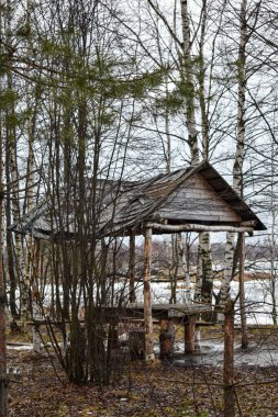 Ormandaki ahşap çardak.