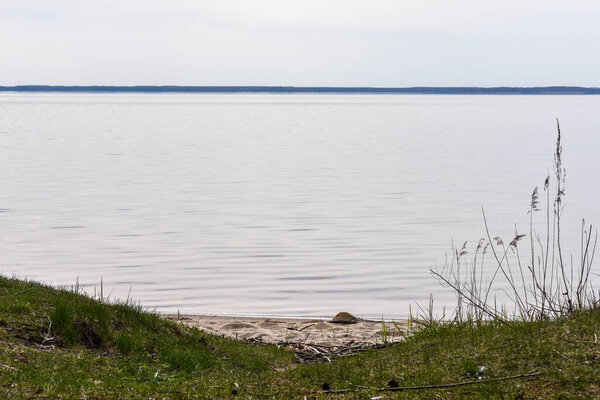 summer coast of the Volga River