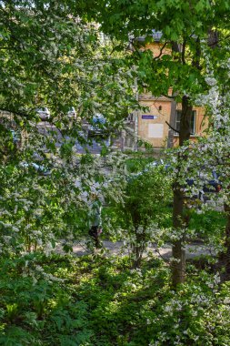 Şafak sökerken baharda çiçek açan bahçede