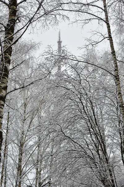 Városi Park Télen Hóban — Stock Fotó