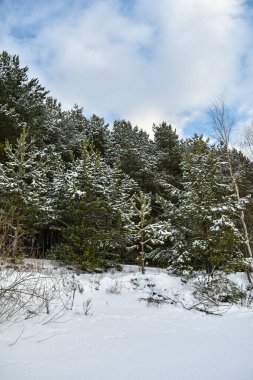 Volga Nehri kıyıları kışın