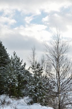 Volga Nehri kıyıları kışın