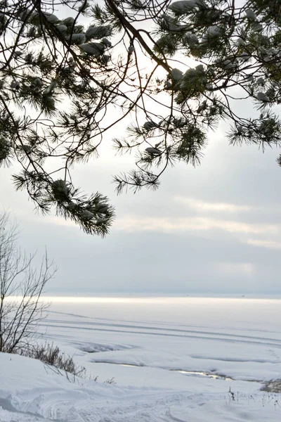 Costa Rio Volga Inverno — Fotografia de Stock