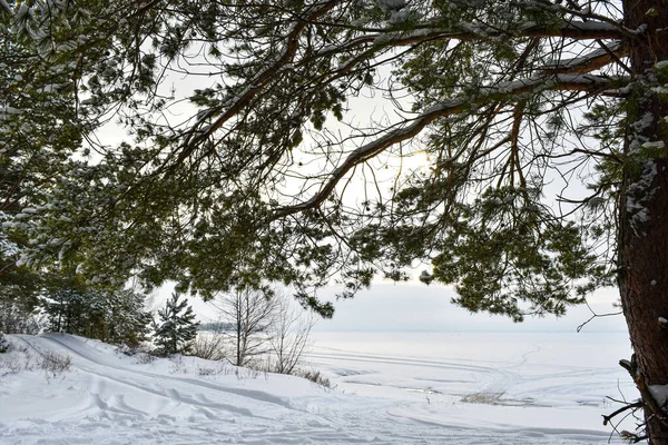 Costa Del Río Volga Invierno — Foto de Stock