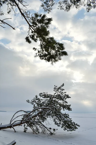 Costa Del Volga Inverno — Foto Stock