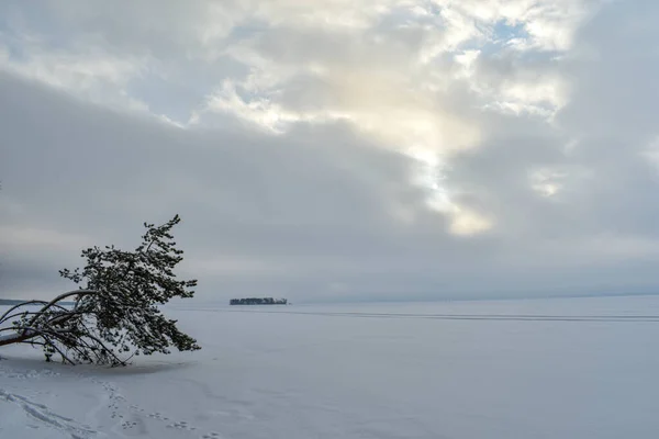 Costa Rio Volga Inverno — Fotografia de Stock