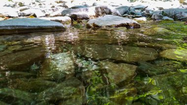 Şeffaf dere dağ geçidine akıyor.