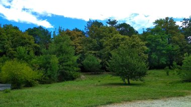 Orman temizliği ve mavi gökyüzü