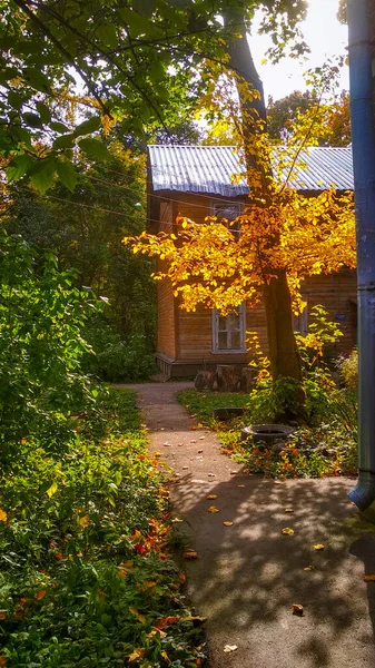 Otoño Dorado Las Calles Nizhny Novgorod — Foto de Stock