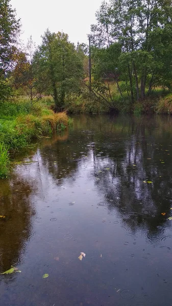 Kleiner Fluss Fließt Wald — Stockfoto