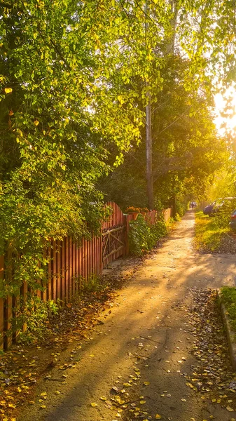 Goldener Herbst Auf Den Straßen Von Nischni Nowgorod — Stockfoto