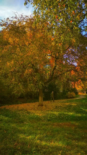 Otoño Dorado Las Calles Nizhny Novgorod — Foto de Stock