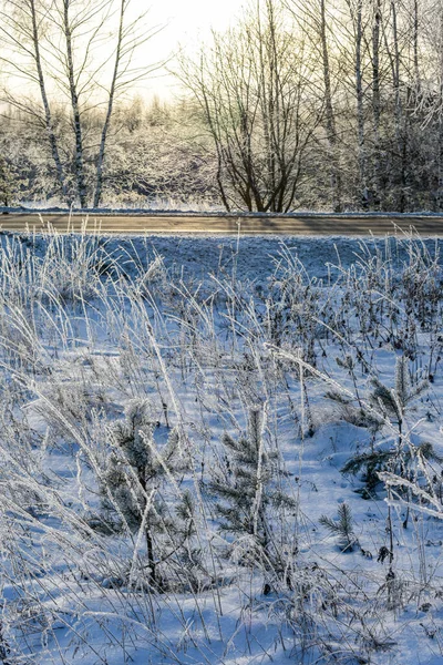 Nature Russie Dans Hiver Glacial — Photo