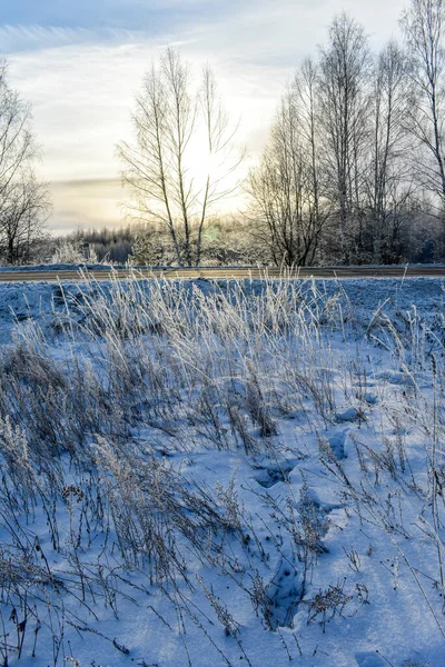 Příroda Ruska Mrazivé Zimě — Stock fotografie