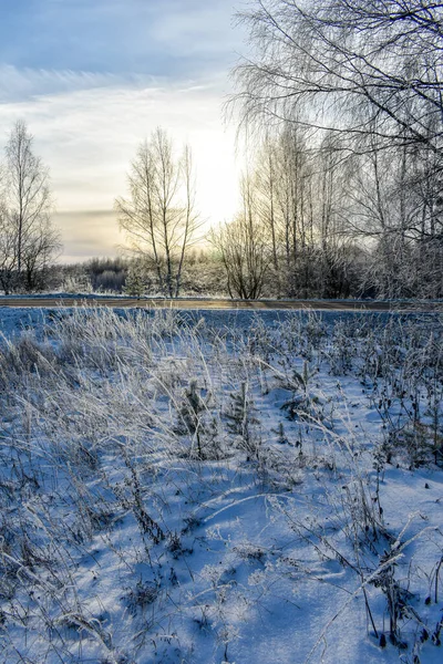 Naturaleza Rusia Invierno Helado — Foto de Stock