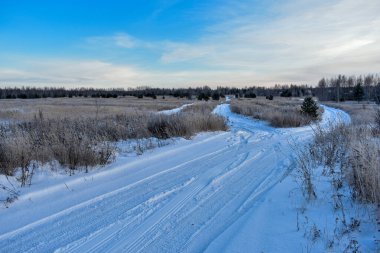 Soğuk bir kışta Rusya 'nın doğası