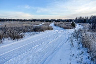 Soğuk bir kışta Rusya 'nın doğası