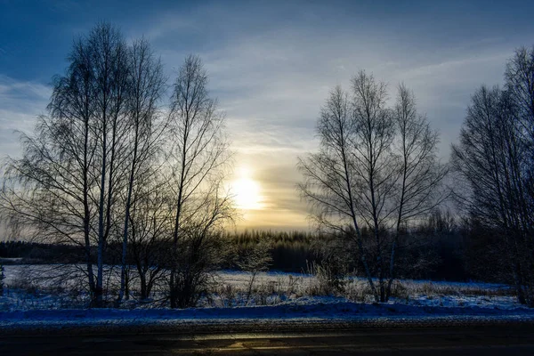 霜の多い冬のロシアの自然 — ストック写真