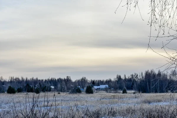 Naturaleza Rusia Invierno Helado —  Fotos de Stock