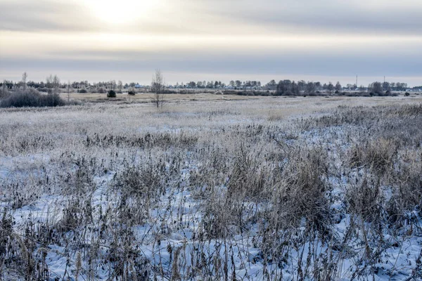 Naturaleza Rusia Invierno Helado —  Fotos de Stock