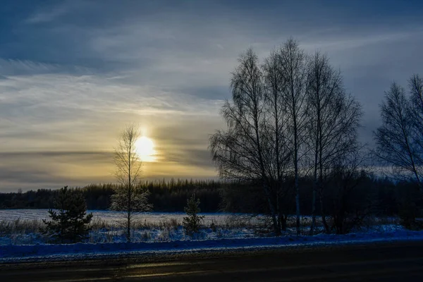 霜の多い冬のロシアの自然 — ストック写真