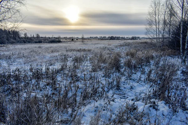 Die Natur Russlands Einem Frostigen Winter — Stockfoto