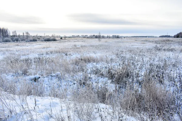 Soğuk Bir Kışta Rusya Nın Doğası — Stok fotoğraf