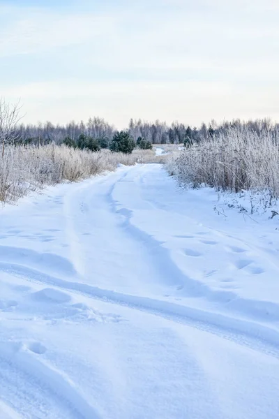Naturaleza Rusia Invierno Helado — Foto de Stock