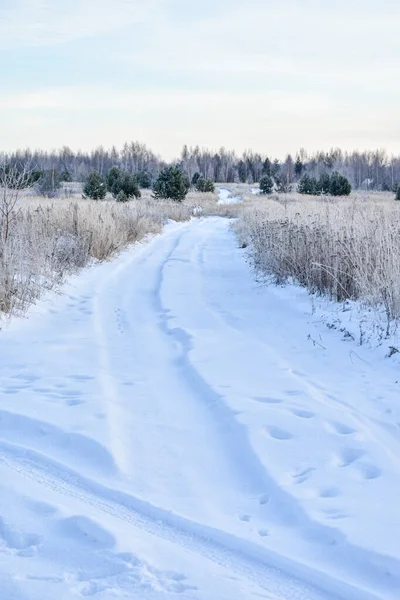 Naturaleza Rusia Invierno Helado — Foto de Stock