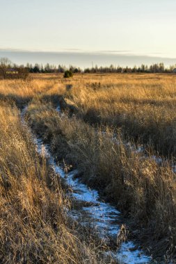 Gün batımında tarlada ilk kar