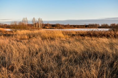 Gün batımında tarlada ilk kar