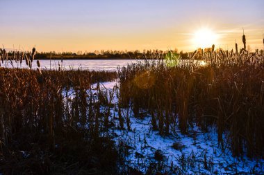 Gün batımında güneşteki ilk buz