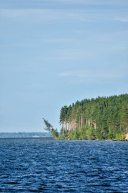 Volga Nehri 'nin yaz manzarası