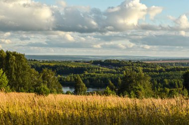 Güzel tarlanın panoramik manzarası