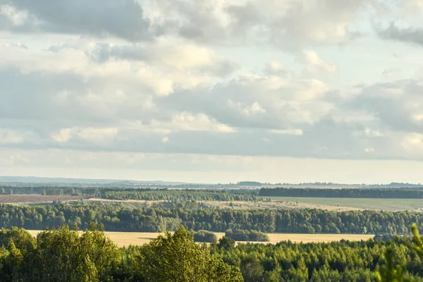 Panoramautsikt Över Det Vackra Fältet — Stockfoto