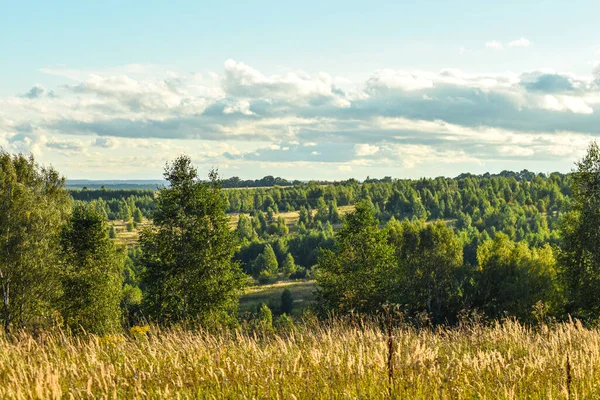 Vista Panorámica Del Hermoso Campo —  Fotos de Stock