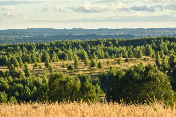 Panoramic View Beautiful Field — Stock Photo, Image