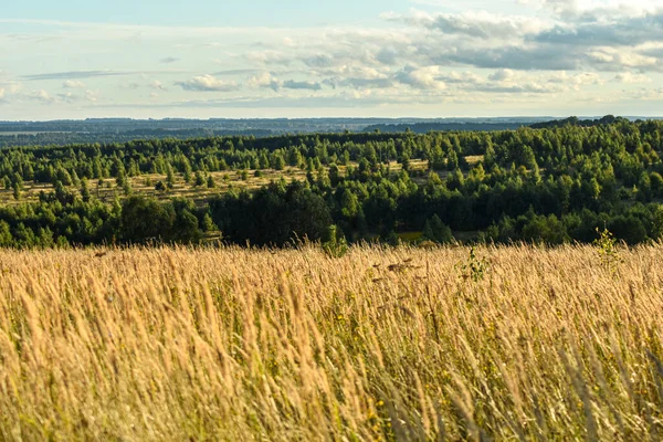 Panoramic View Beautiful Field — Stock Photo, Image