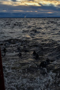Güzel gün batımı ve Volga Nehri 'nde dalgalar