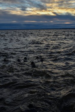 Güzel gün batımı ve Volga Nehri 'nde dalgalar