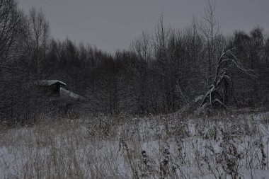 Terk edilmiş köy kışın karla kaplı