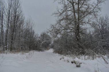Terk edilmiş köy kışın karla kaplı