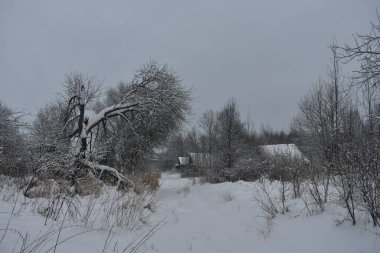 Terk edilmiş köy kışın karla kaplı