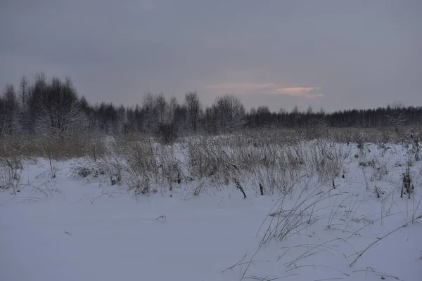 Sunset Snowy Field Winter — Stock Photo, Image