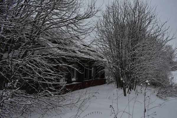 冬は雪の村を捨て — ストック写真