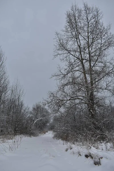 Pueblo Abandonado Nieve Invierno — Foto de Stock