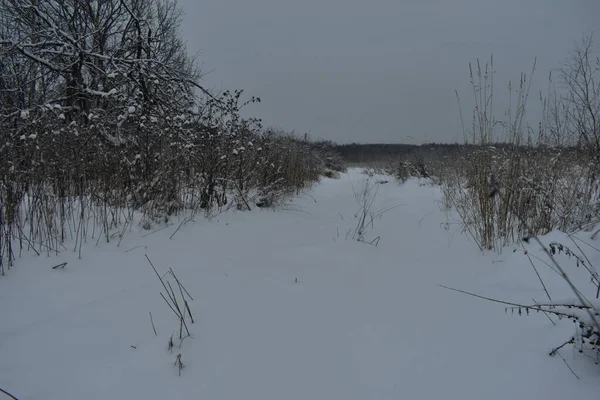 冬は雪の村を捨て — ストック写真